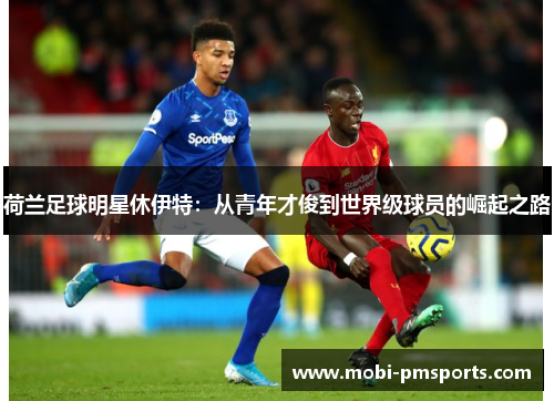 荷兰足球明星休伊特：从青年才俊到世界级球员的崛起之路