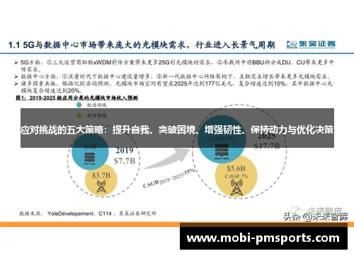 应对挑战的五大策略：提升自我、突破困境、增强韧性、保持动力与优化决策