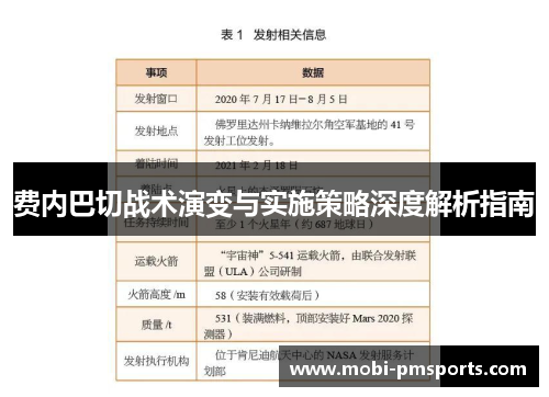 费内巴切战术演变与实施策略深度解析指南