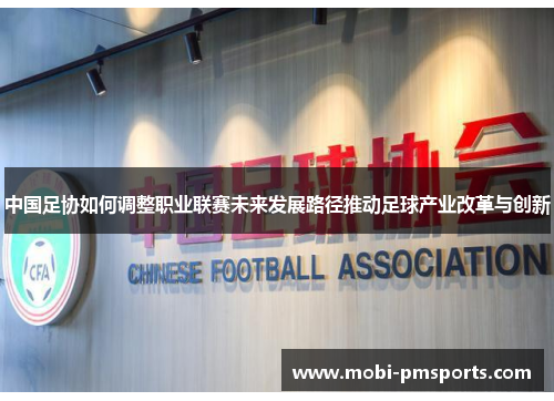 中国足协如何调整职业联赛未来发展路径推动足球产业改革与创新