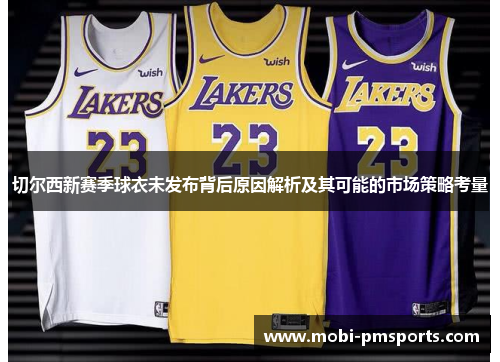 切尔西新赛季球衣未发布背后原因解析及其可能的市场策略考量