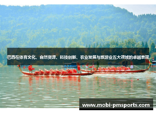 巴西在体育文化、自然资源、科技创新、农业发展与旅游业五大领域的卓越表现